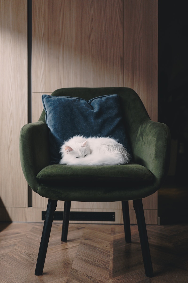 Photo by Volodymyr Dobrovolskyy a white cat sleeping on top of a green chair